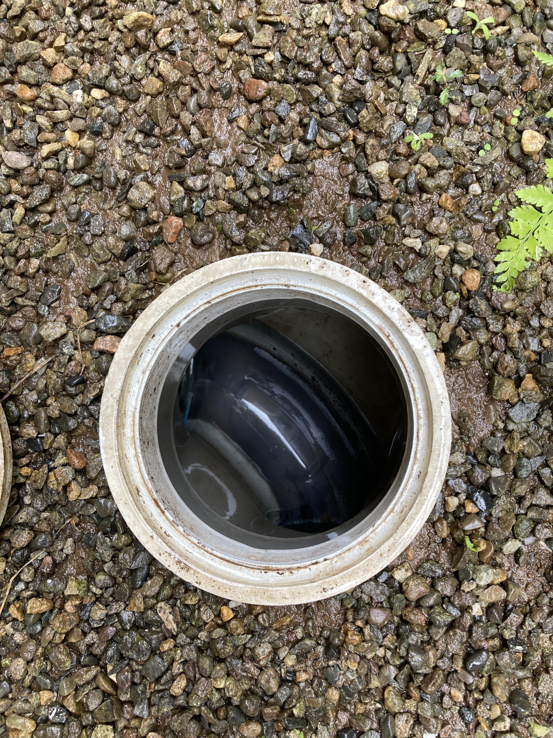 排水管洗浄後の排水マス