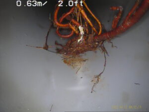 排水管内カメラ調査画像2
